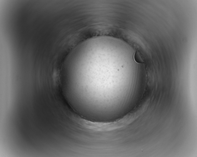 X0000094190034200711091209