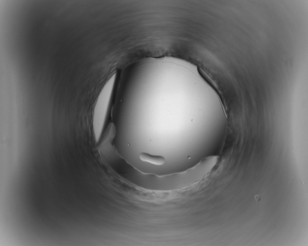 X0000094190037200711091209