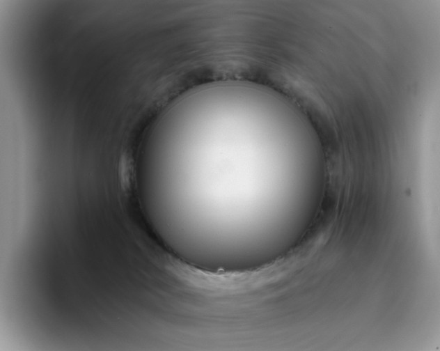 X0000094190038200711091209