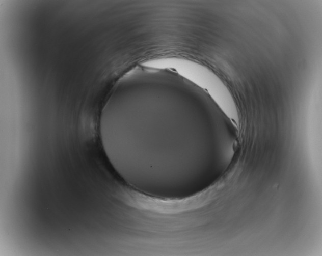 X0000094190039200711091209