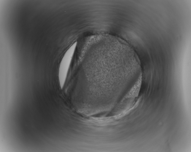 X0000094190041200711091209