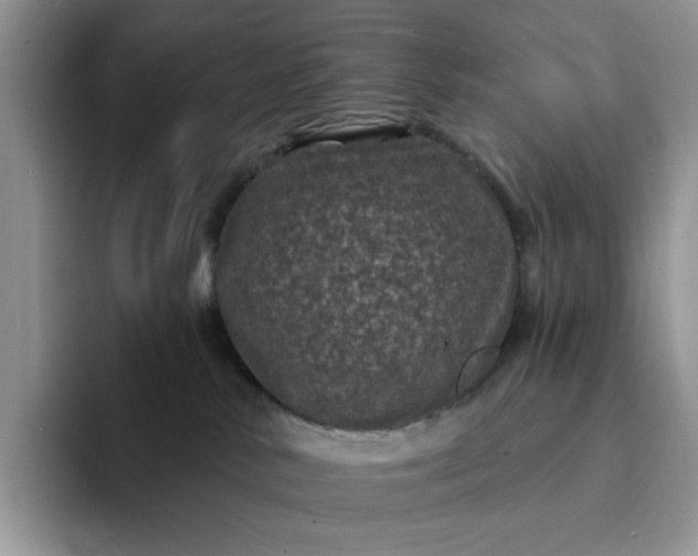 X0000094190042200711091209