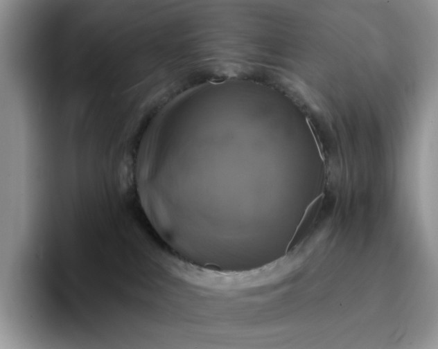 X0000094190043200711091209