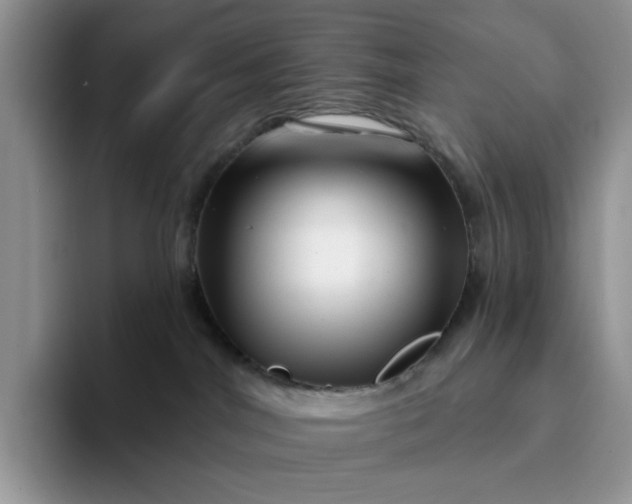 X0000094190044200711091209