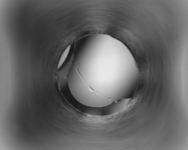 X0000094190045200711091209