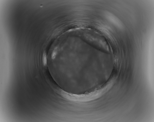 X0000094190046200711091209