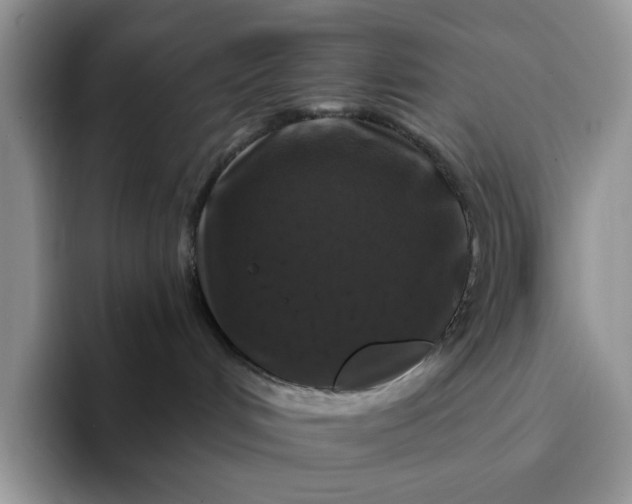 X0000094190048200711091209