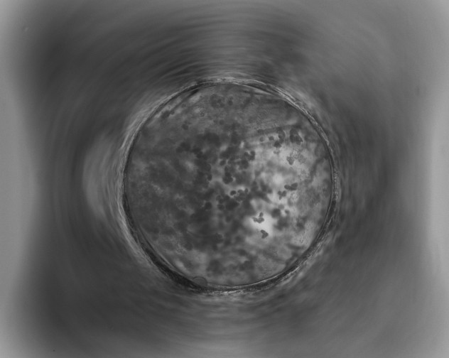 X0000094190049200711091208