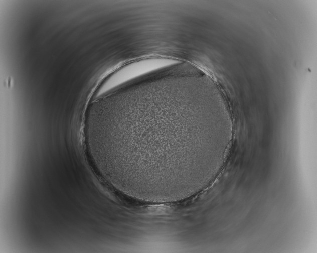 X0000094190050200711091208