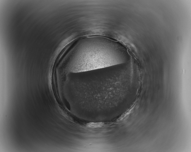 X0000094190051200711091208