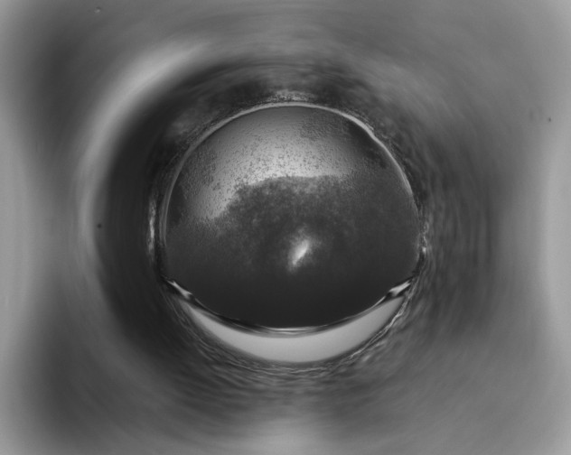 X0000094190052200711091208