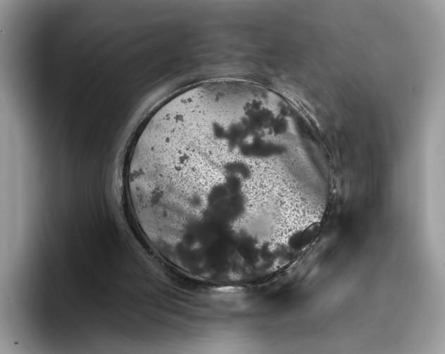 X0000094190053200711091208