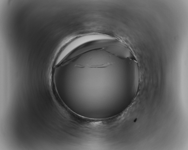 X0000094190054200711091208