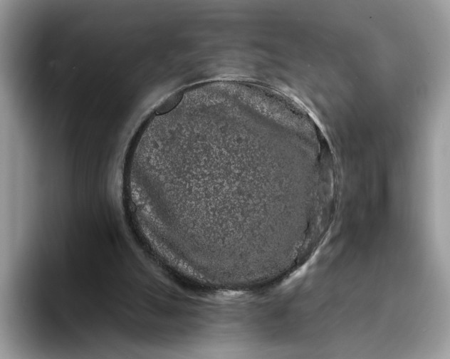 X0000094190055200711091208