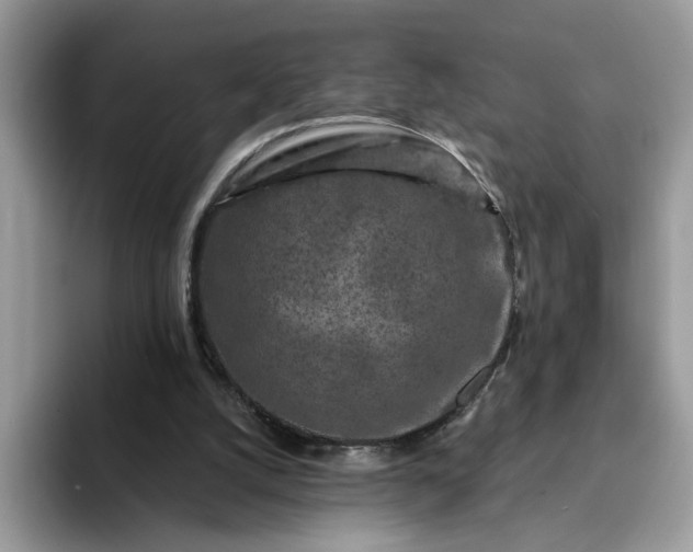 X0000094190056200711091208