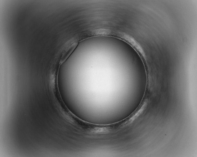 X0000094190057200711091208