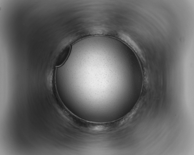 X0000094190058200711091208