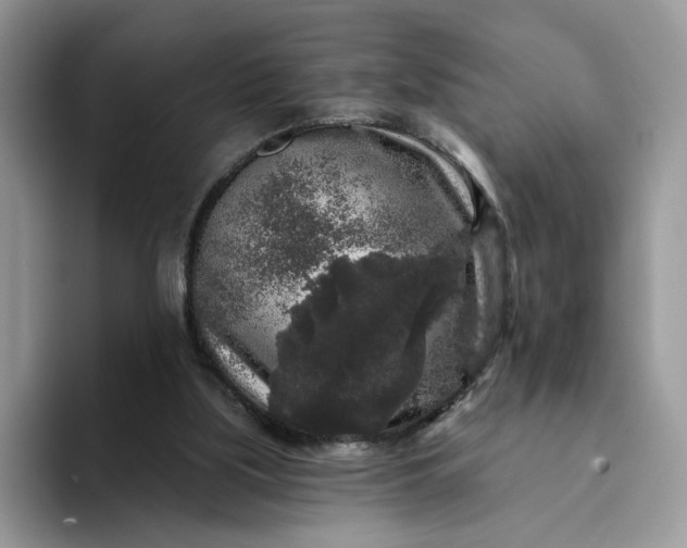 X0000094190059200711091208