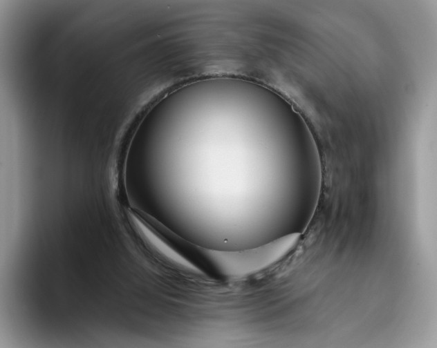 X0000094190060200711091208