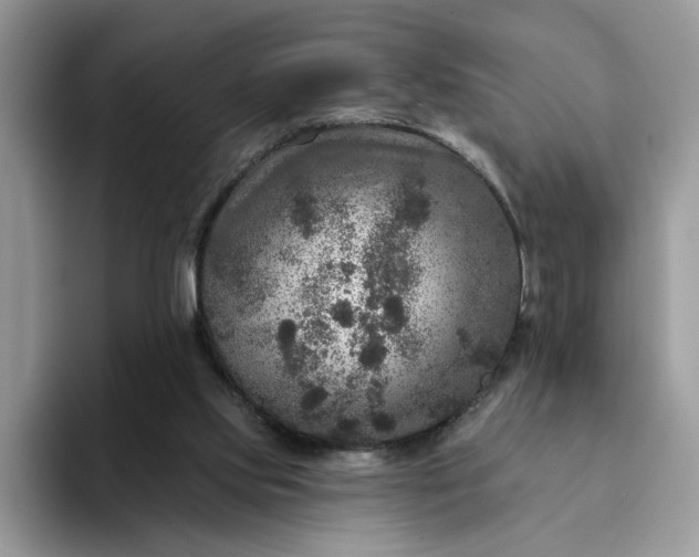 X0000094190061200711091208