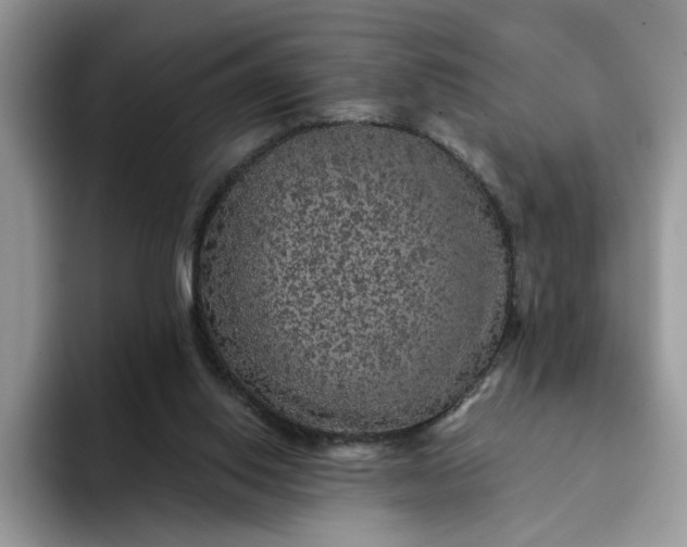 X0000094190062200711091208