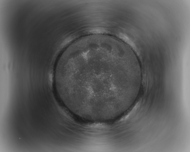 X0000094190063200711091208