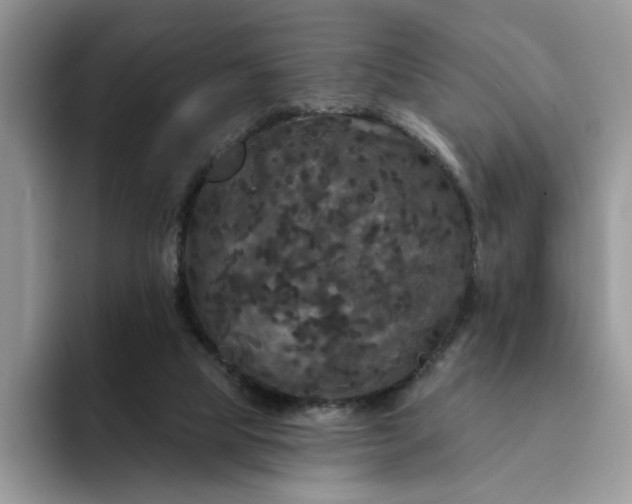 X0000094190065200711091208