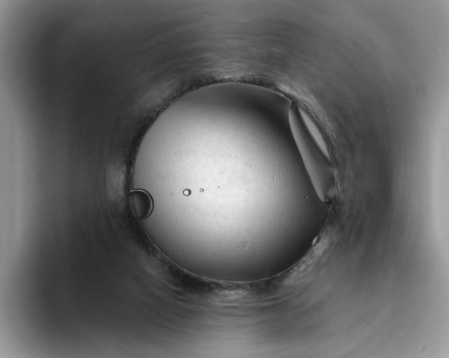 X0000094190066200711091208