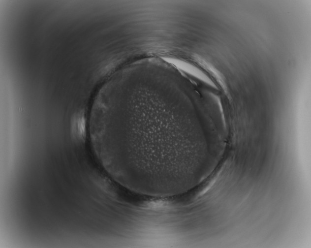 X0000094190067200711091208