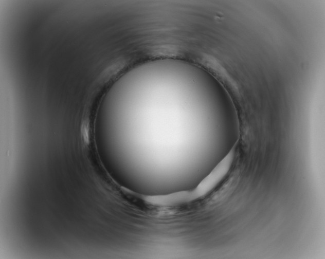 X0000094190068200711091208