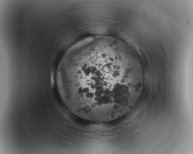 X0000094190069200711091209