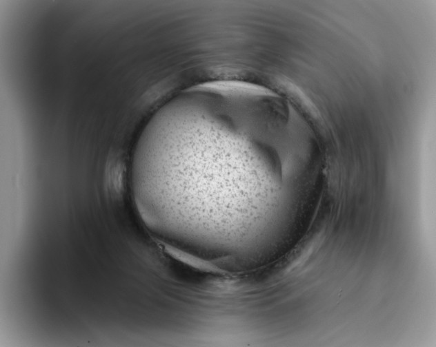 X0000094190071200711091209