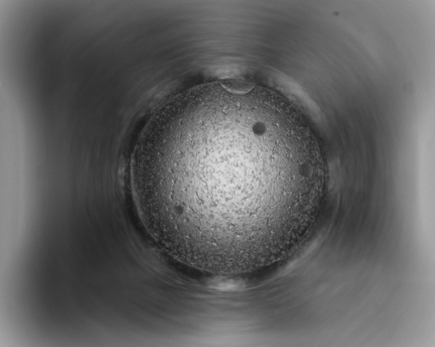 X0000094190073200711091209