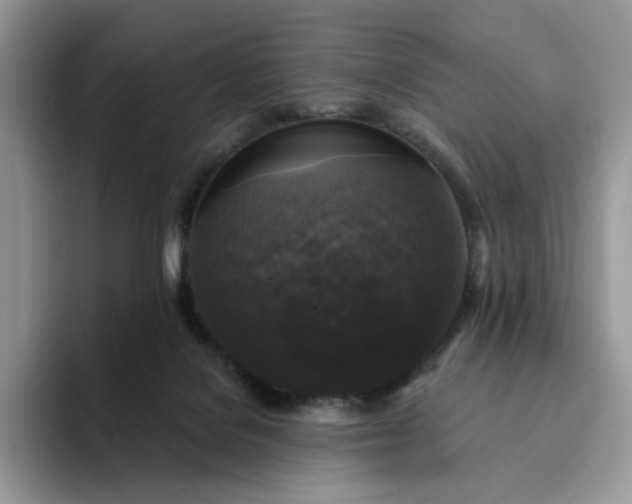 X0000094190076200711091209