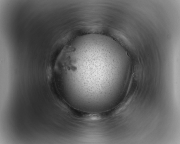 X0000094190077200711091209