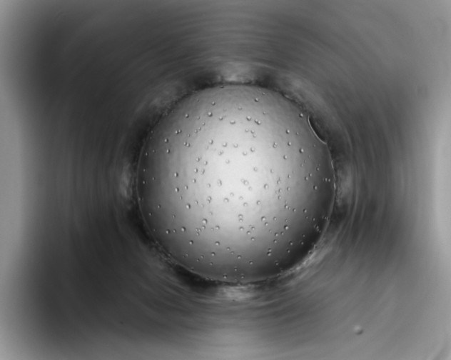 X0000094190078200711091209