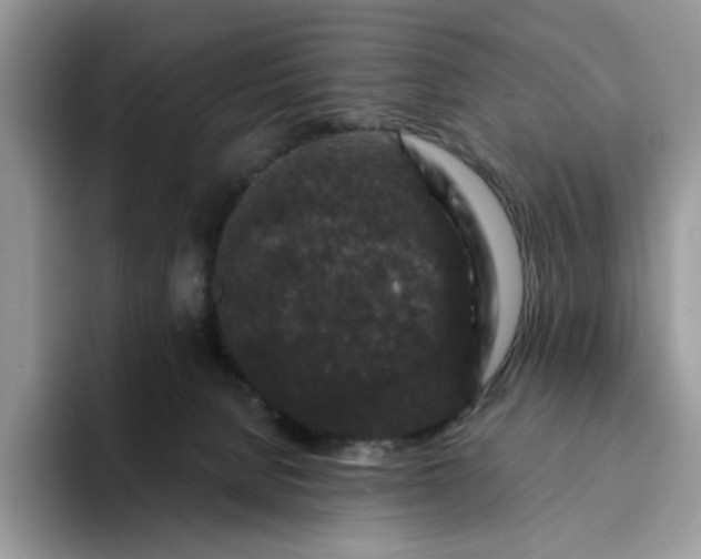 X0000094190080200711091209