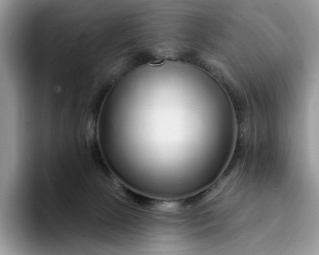 X0000094190081200711091209