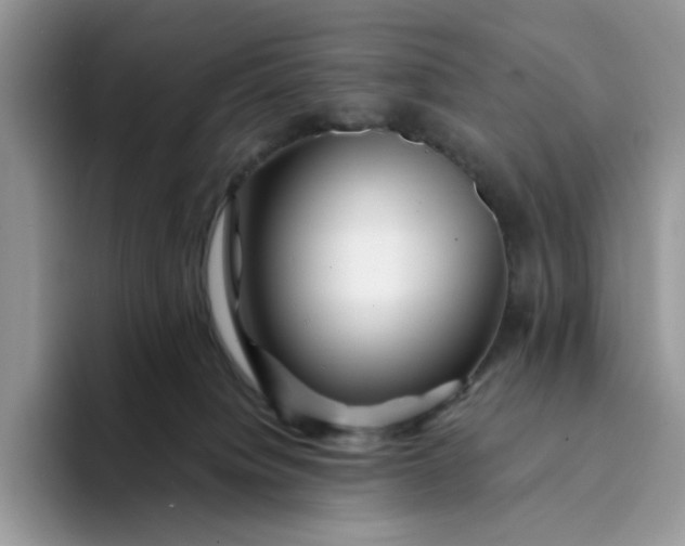 X0000094190084200711091209