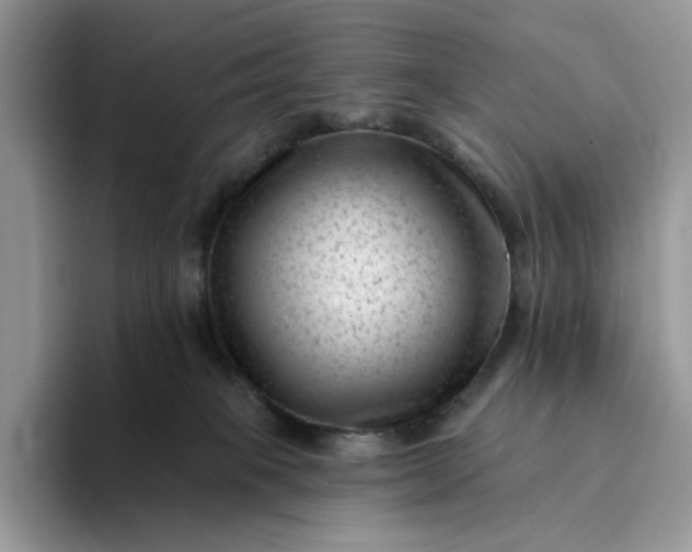 X0000094190085200711091209