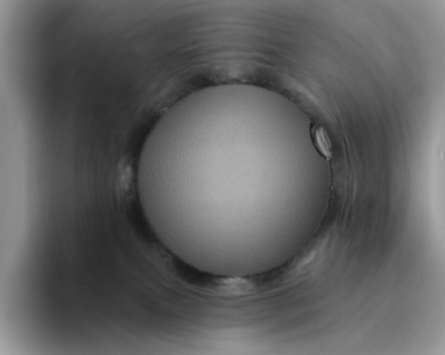 X0000094190087200711091209