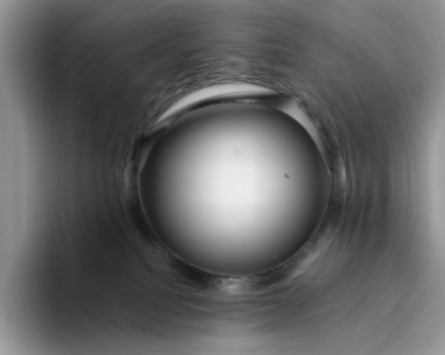 X0000094190088200711091209