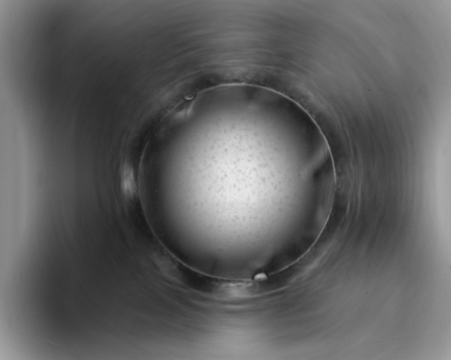 X0000094190089200711091209