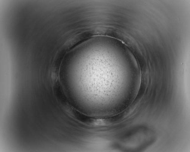 X0000094190091200711091209