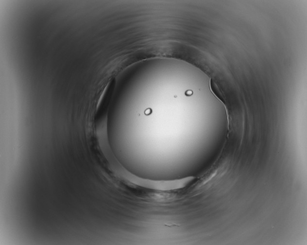 X0000094190092200711091209