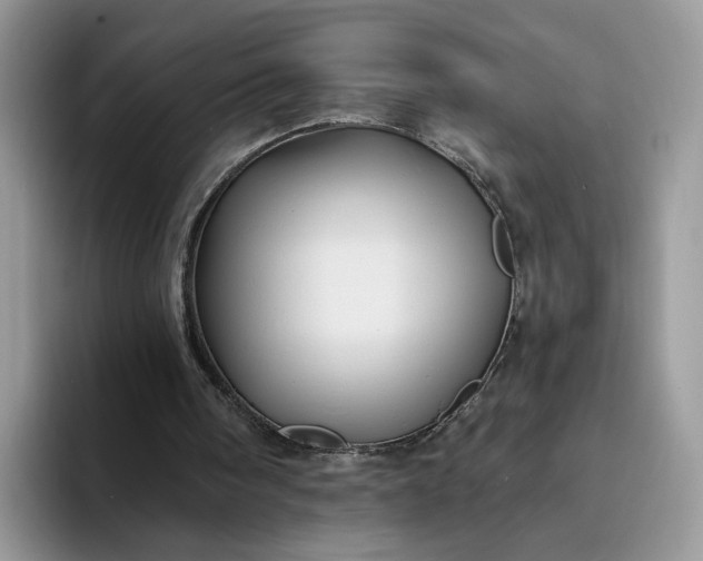 X0000094190098200711091208