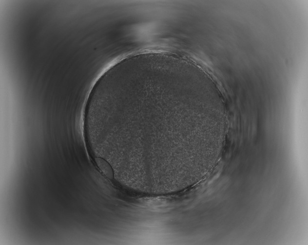 X0000094190100200711091208