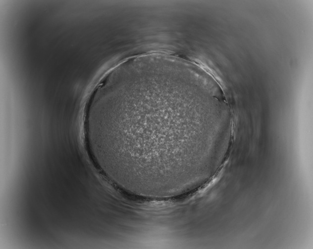 X0000094190101200711091208