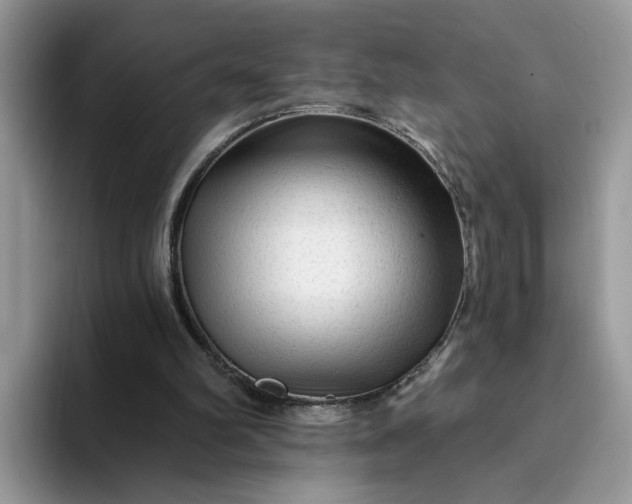 X0000094190102200711091208