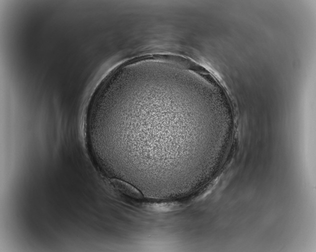 X0000094190103200711091208